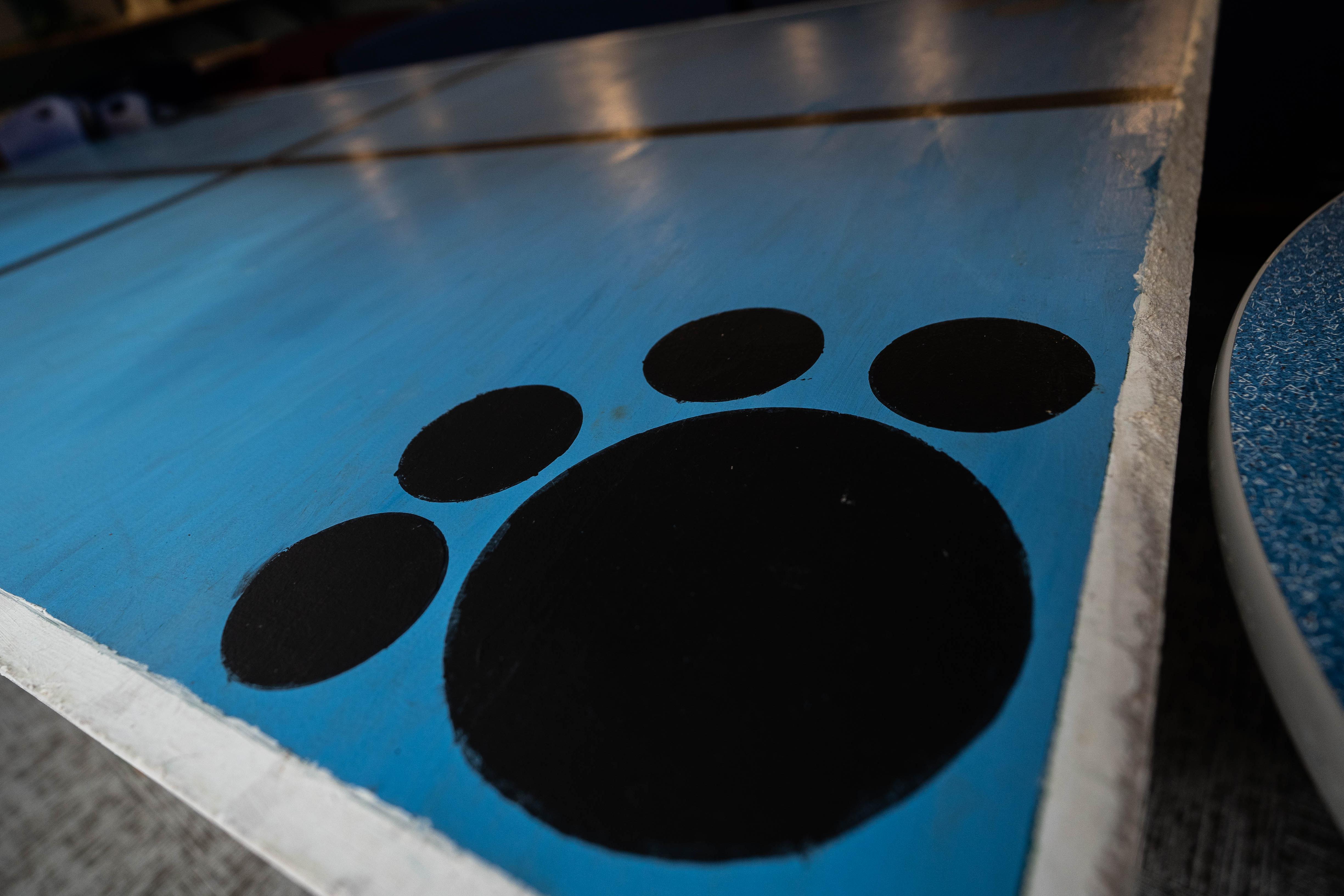 Blue tiger paw on ping pong table in Campus Center